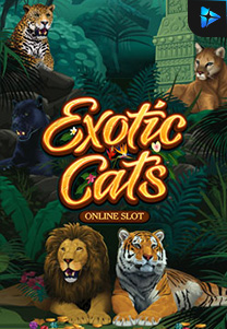 Bocoran RTP Slot exoticcats di 999hoki
